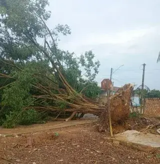 Energisa informa que 80% dos clientes afetados por temporal em Buritis tiveram energia restabelecida