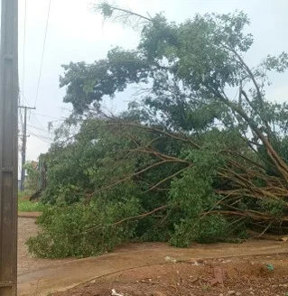 Imagem da matéria